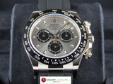Rolex Daytona Oysterflex Ceramic Bezel 18 ct. White Gold Grey Panda Dial Ghost 116519LN Unworn January 2022