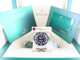 Rolex Deepsea Sea Dweller Black Dial 136660 November 2023