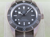 Tudor Black Bay 58 925 Silver 79010 New October 2023