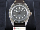 Tudor Black Bay 58 925 Silver 39 mm 79010SG August 2023